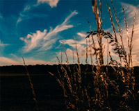 免费ddos压力测试平台