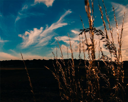 免费cc攻击测试