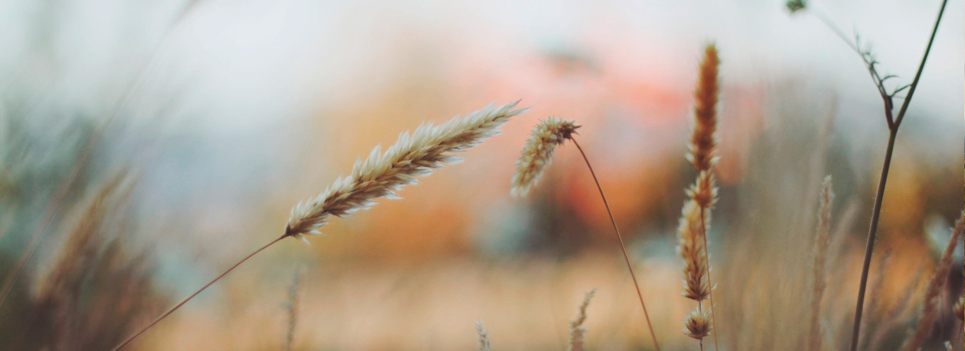 自动化监控的免费ddos平台攻击